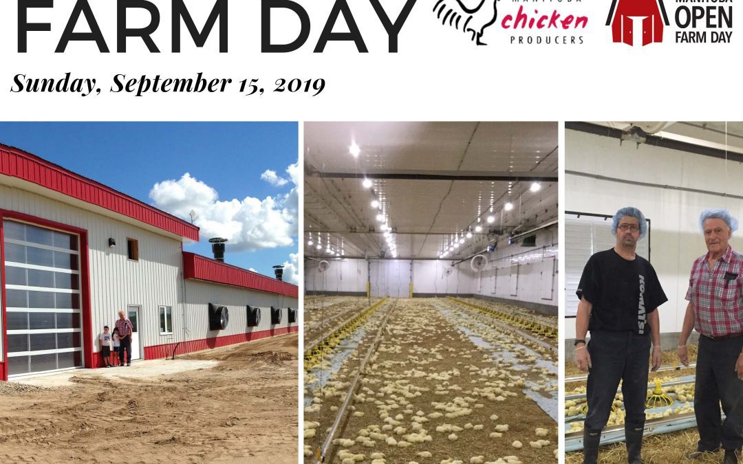 September 15th is Manitoba Open Farm Day – Come Out and Visit the Collet Family Chicken Farm!