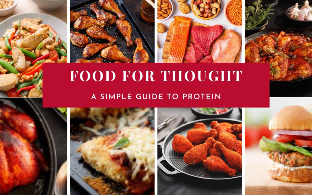 Food for Thought: A Simple Guide to Protein