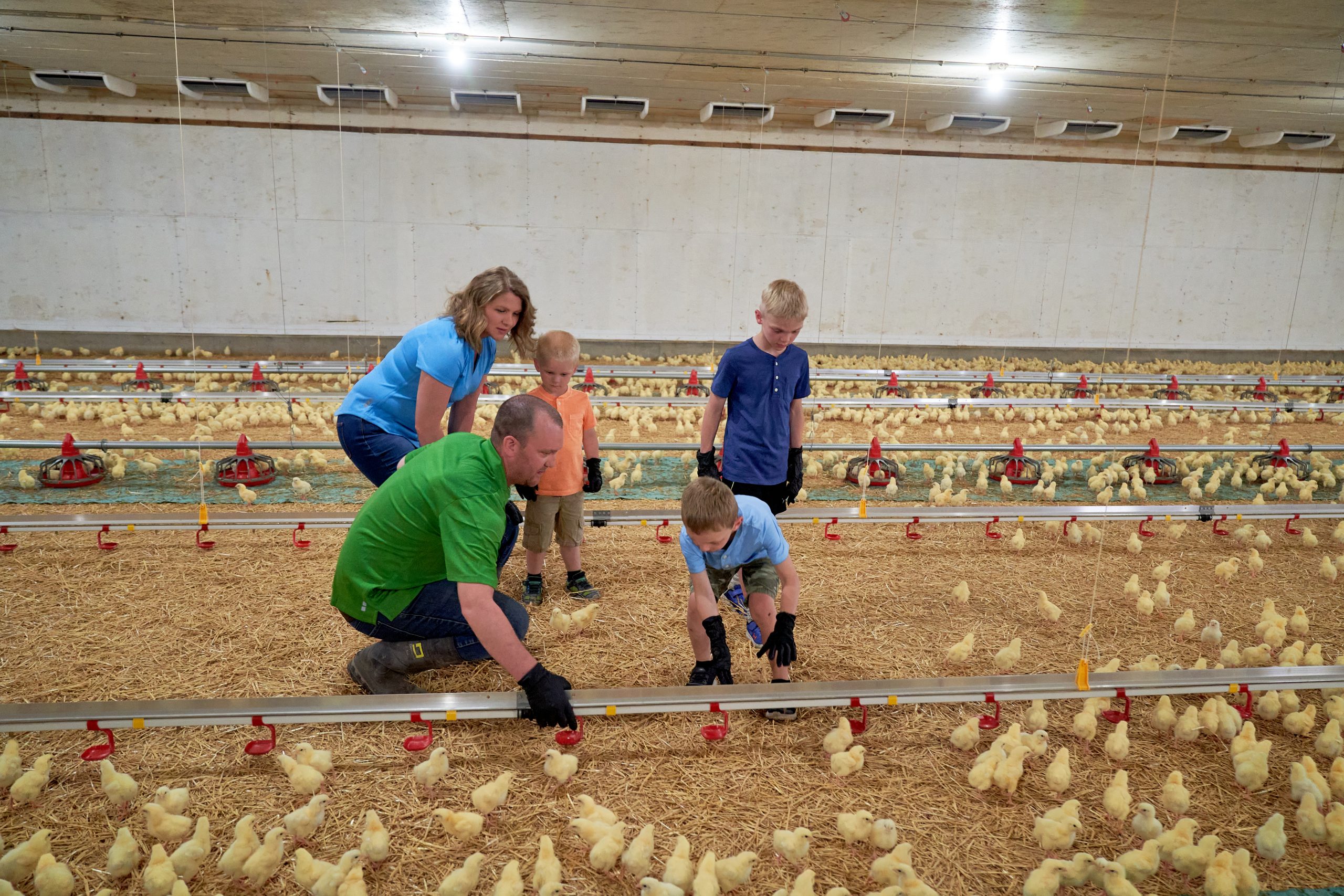 The Wollman Family in Chicken Barn